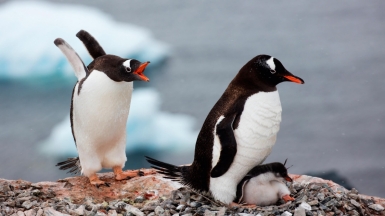 Фото: Holger_Leue