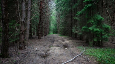 Фото нашего гида Михаила Верёвченко