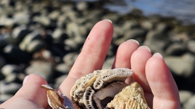 Фото нашей Странницы Анны Лазаренко