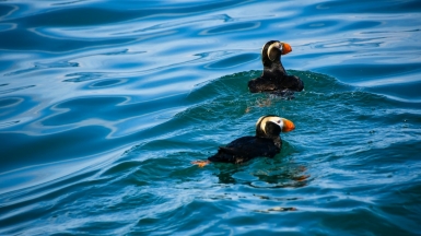 Фото Snapsaga для Unsplash.com