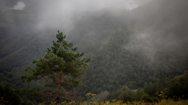 Фото нашего гида Михаила Верёвченко
