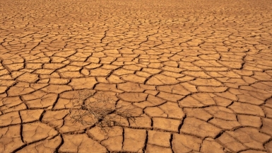 Фото нашего гида Михаила Верёвченко