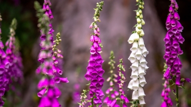 Photo by Slawek K on Unsplash