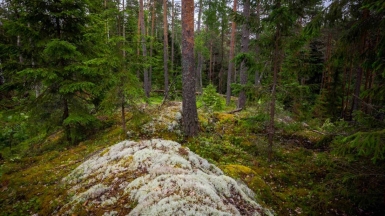 Фото нашего гида Михаила Верёвченко