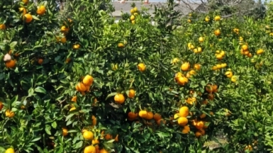 Фото нашего гида Лики Майстровой