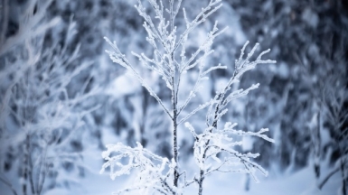 Фото нашего гида Михаила Верёвченко