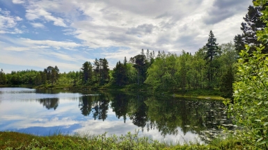 Фото Евгении Скопиной
