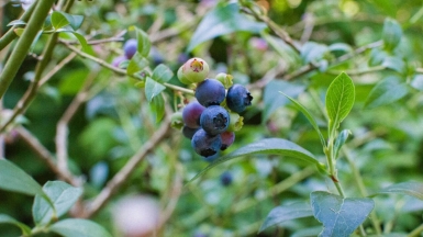 Фото: Nicole Logan, unsplash.com