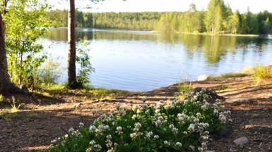 Фото нашего гида Алексея Петровского