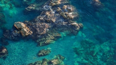 Фото из архива Клуба