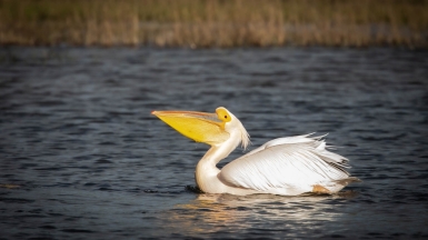 Фото нашего гида Михаила Верёвченко