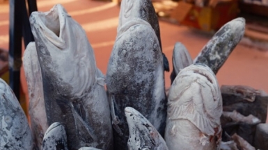 Фото: Антон Г. www.uniq.photo