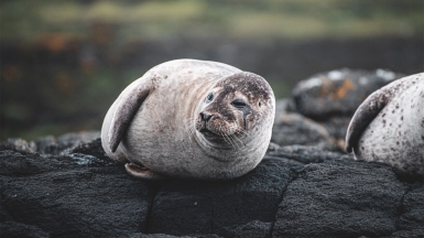 Фото: thomas bonometti, unsplash.com Фото: thomas bonometti, unsplash.com