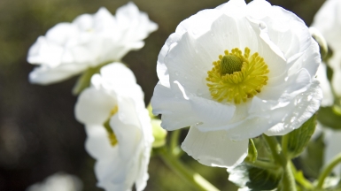 Фото: PermaCultured, visualhunt.com