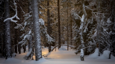 Фото нашего гида Михаила Верёвченко