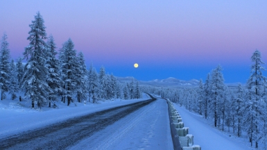 Фото: Михаил Местников