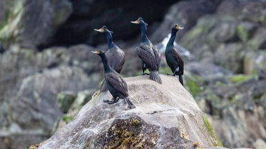 Фото из архива Клуба