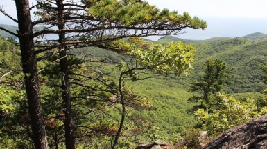 Фото Вероники Кузенковой