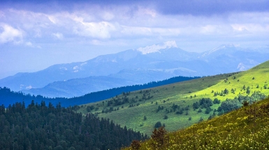 Фото: ru.depositphotos.com