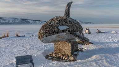 Фото: Михаил Местников