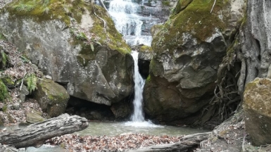 Фото нашего гида Елены Кузура