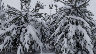 Фото наших Странников