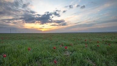 Фото нашего гида Михаила Верёвченко