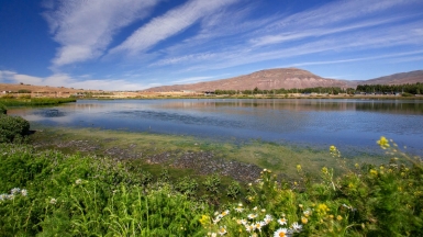 Фото нашей Странницы Татьяны Руновой