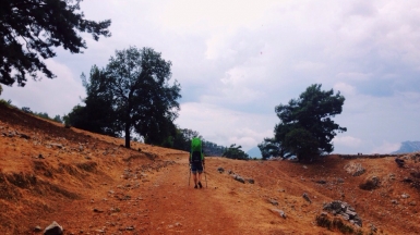 Фото Татьяны Швыряевой