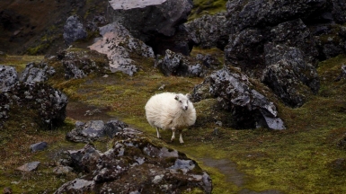 Фото нашего Странника Александра Сироткина