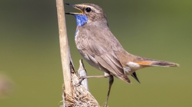 Фото нашего гида Михаила Верёвченко