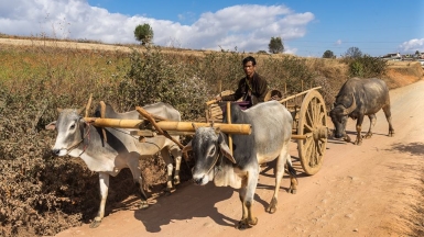 Фото Александра Рыбакова