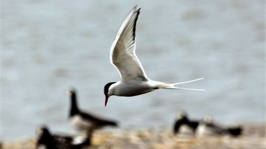 Фото: irio.jyske, visualHunt.com