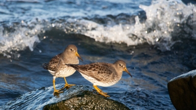 Фото: Dmitri Strakhov on visualhunt
