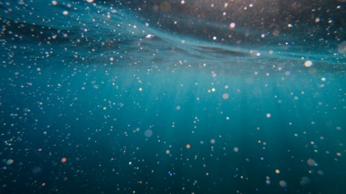 Фото: Сristian Palmer, unsplash.com