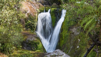 Фото нашей Странницы Татьяны Руновой