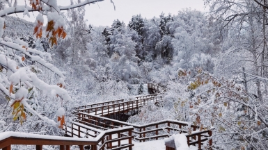 Фото: lana_lalalama, unsplash.com