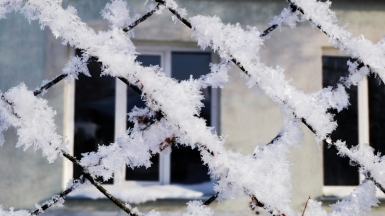 Фото: Raisa Milova on Unsplash