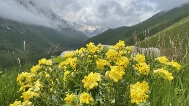 Фото наших Странников