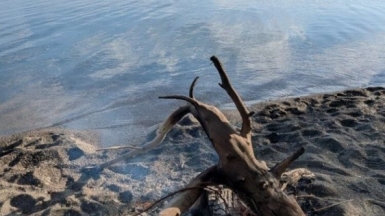 Фото нашего гида Марии Тергоевой