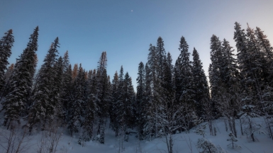Фото нашего гида Михаила Верёвченко