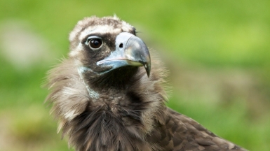 Фото: Adam Skalny, visualhunt.com