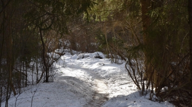 Фото нашего гида Александра Чудновского