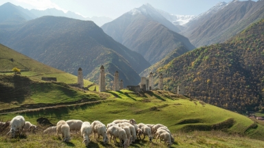 Фото: Evgeny Matveev, unsplash.com