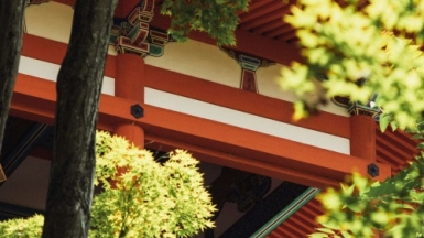 Фото Youngjin J,  unsplash.com