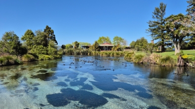 Фото наших партнеров JustGo ThereNZ