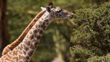 Фото: blieusong, visualhunt.com