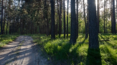 Фото нашего гида Михаила Верёвченко