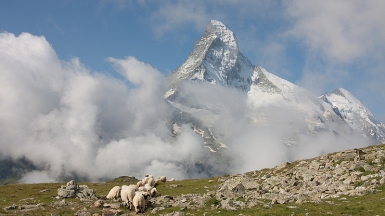 Автор: Ezpeleta. Источник: visualhunt.com