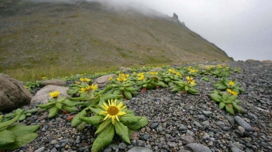 Фото: Магадан, visualhunt.com